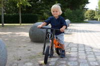 RABO Zippl Laufrad – Bild 3