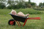 ROSE Schubkarre zwei Räder - ROSE outdoor small 066 FitWzEwMDAsODAwXQ