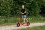 ROSE Roller (2a) - ROSE outdoor small 084 FitWzEwMDAsODAwXQ