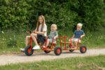 ROSE Taxi-Anhänger mit Ballonreifen (3et-B) - ROSE outdoor small 094 FitWzEwMDAsODAwXQ