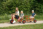 ROSE Taxi-Anhänger mit Ballonreifen (3et-B) - ROSE outdoor small 095 FitWzEwMDAsODAwXQ (1)