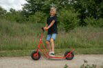 ROSE Roller (2b) - ROSE outdoor small 121 FitWzEwMDAsODAwXQ
