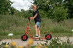 ROSE Roller mit Ballonreifen (2c-B) - ROSE outdoor small 123 FitWzEwMDAsODAwXQ