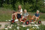 ROSE Taxi-Anhänger mit Ballonreifen (3et-B) - ROSE outdoor small 130 FitWzEwMDAsODAwXQ (2)