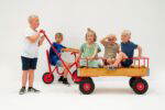 ROSE Bollerwagen XL mit Ballonreifen - ROSE bikes studio 44 FitWzEwMDAsODAwXQ