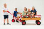 ROSE Bollerwagen XL mit Ballonreifen - ROSE bikes studio 45 FitWzEwMDAsODAwXQ