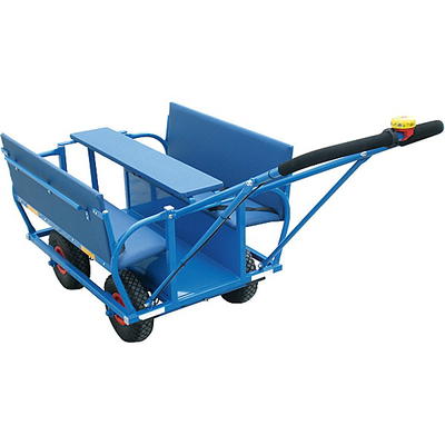 Krippenausflugswagen Krippenwagen 6 Sitzer