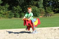 Federwippe Pony - LEDON Originals – Bild 6