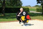Federwippe Papagei Pauli – LEDON Pirates - 1200px COLOURBOX39262005