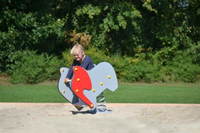 Federwippe Elefant - LEDON Originals – Bild 5