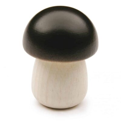 Kaufladenartikel - Steinpilz (5 Stück)