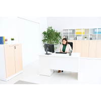 Grande Schreibtisch mit 4 Schubladen – Bild 14