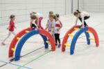 Mega Hamsterrolle - 676 26 12