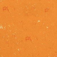 Lagerregal für bis zu 12 Töpfchen mit Schrägboden - Tabelle 12 Linoleum Mandarine
