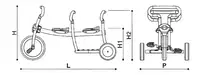 Italtrike Dreirad 2-Sitzer Pilot 300