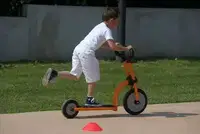 Italtrike Roller Scooter Pilot 200 – Bild 2