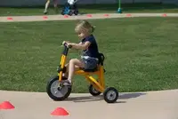 Italtrike Dreirad Pilot 300