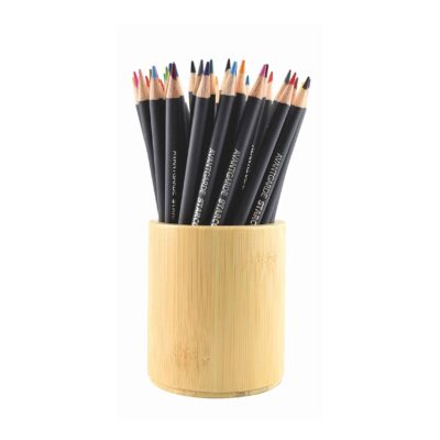 Starcolor Aqua Buntstifte im Köcher - 48 Stück