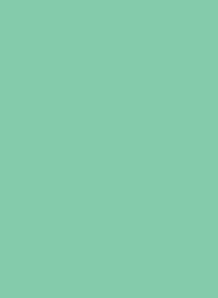Tonpapier 130 g - 50x70 cm (10 Bögen/Pack) – Bild 12
