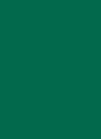 Tonpapier 130 g - 50x70 cm (10 Bögen/Pack) – Bild 16