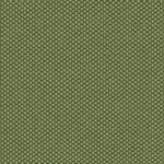 SPG 30 – Stoff Vivo – 30613