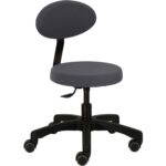 Erzieherstuhl LeitnerFan Classic - LFANC 34 43 sfl lst lfan one on8017 anthrazit