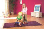 Holz-Buggy - 24401 F.JPG emotions picture 300DPI CMYK