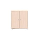 Sideboard mit 2 Böden und Türen - MKS079