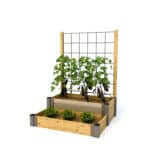 Wald, Natur & Pflanzen