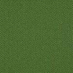 CG557 dunkelgrün