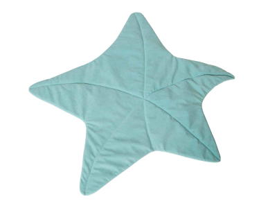 Spielmatte Seestern