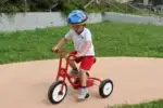 Italtrike Kettendreirad – Redline - Italtrike Redline 9056 web 5 1536×1024.jpg