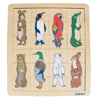 Match & Mix "Animal Kingdom"