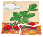 Lagen-Puzzle „Erdbeere“ - 17040 3 product rgb 800x800