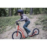 Hort Roller – Bild 5