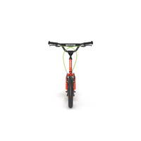 Hort Roller – Bild 4