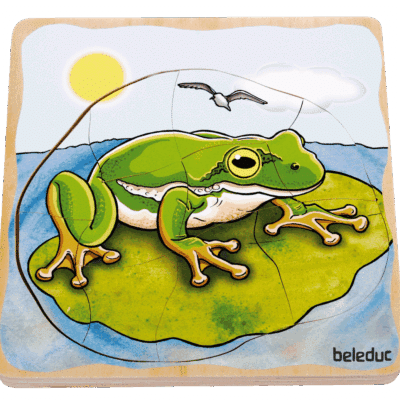 Lagen-Puzzle "Frosch"