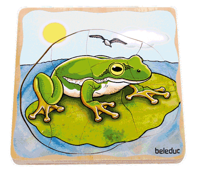 Lagen-Puzzle „Frosch“