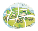 Lagen-Puzzle „Frosch“ - 17053 1 product rgb 800x800
