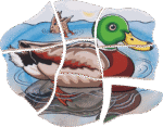 Lagen-Puzzle „Ente“ - 17055 2 product rgb 800x800