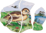 Lagen-Puzzle „Ente“ - 17055 3 product rgb 800x800