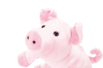 Handpuppe „Schwein“ - 40113 2 product rgb 800x800