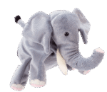 Handpuppe „Elefant“ - 40128 1 product rgb Cover 800x800