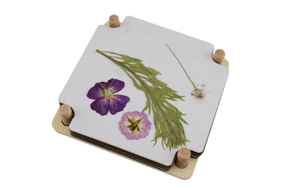 Blumenpresse