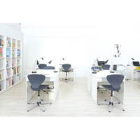 Drehstuhl Flexi höhenverstellbar – Bild 5