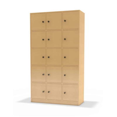 Lehrerfachschrank mit 15 Eigentumsfächer