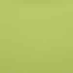 SPG 30 KUNSTLEDER FINCA – 30 587 Apfelgrün