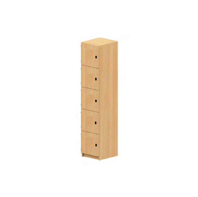 Lehrerfachschrank 5 Eigentumsfächer Lehrerfachschrank 5 Eigentumsfächer