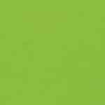 PERI Kunstleder Parakeet PE23392