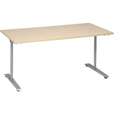 Schreibtisch 160 x 80 cm